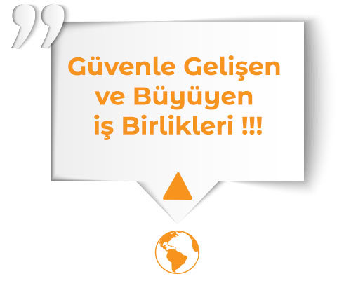 Section Güvenlik Sistemleri Referansları